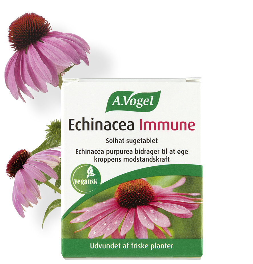 بررسی اکیناسه در داروخانه آنلاین زجاج کلاب