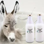 بررسی شیر الاغ در داروخانه آنلاین زجاج کلاب