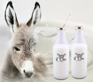 بررسی شیر الاغ در داروخانه آنلاین زجاج کلاب