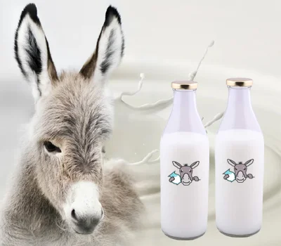 بررسی شیر الاغ در داروخانه آنلاین زجاج کلاب